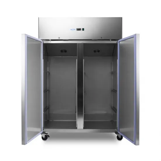 Professional freezer with two doors - 1400L - 6 adjustable shelves