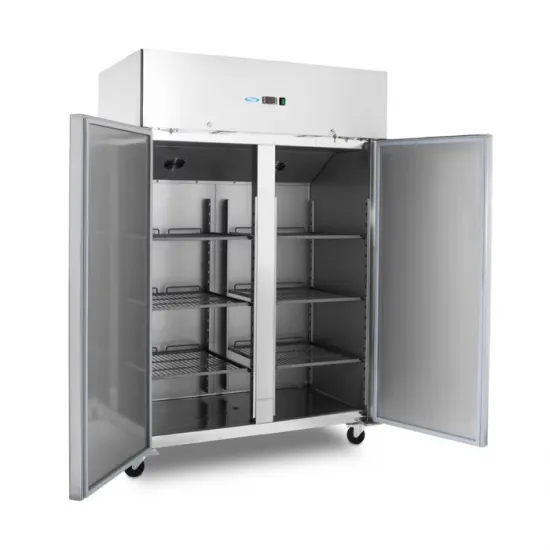 Professional freezer with two doors - 1400L - 6 adjustable shelves