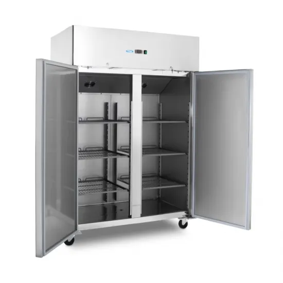 Professional freezer with two doors - 800L - 6 adjustable shelves
