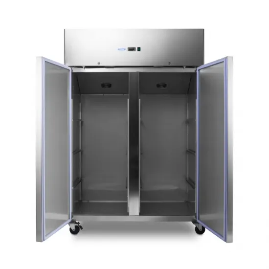 Professional freezer with two doors - 800L - 6 adjustable shelves